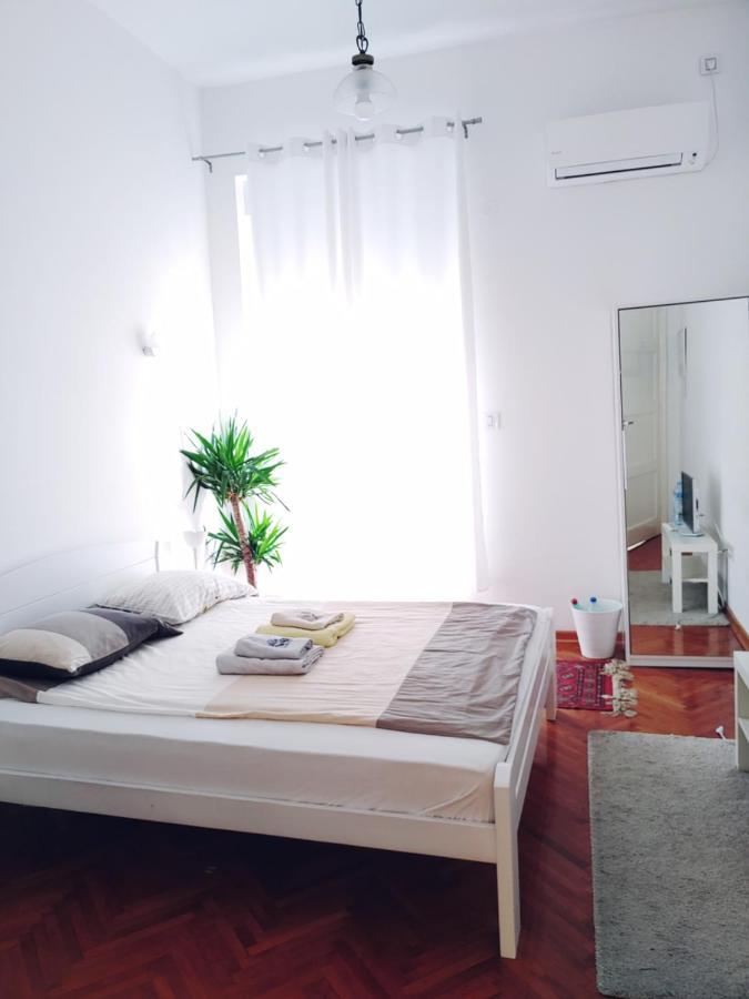 Cricket Park Hostel Beograd Eksteriør billede